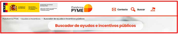 Ayudas-Autonomos-Empresas-Buscador
