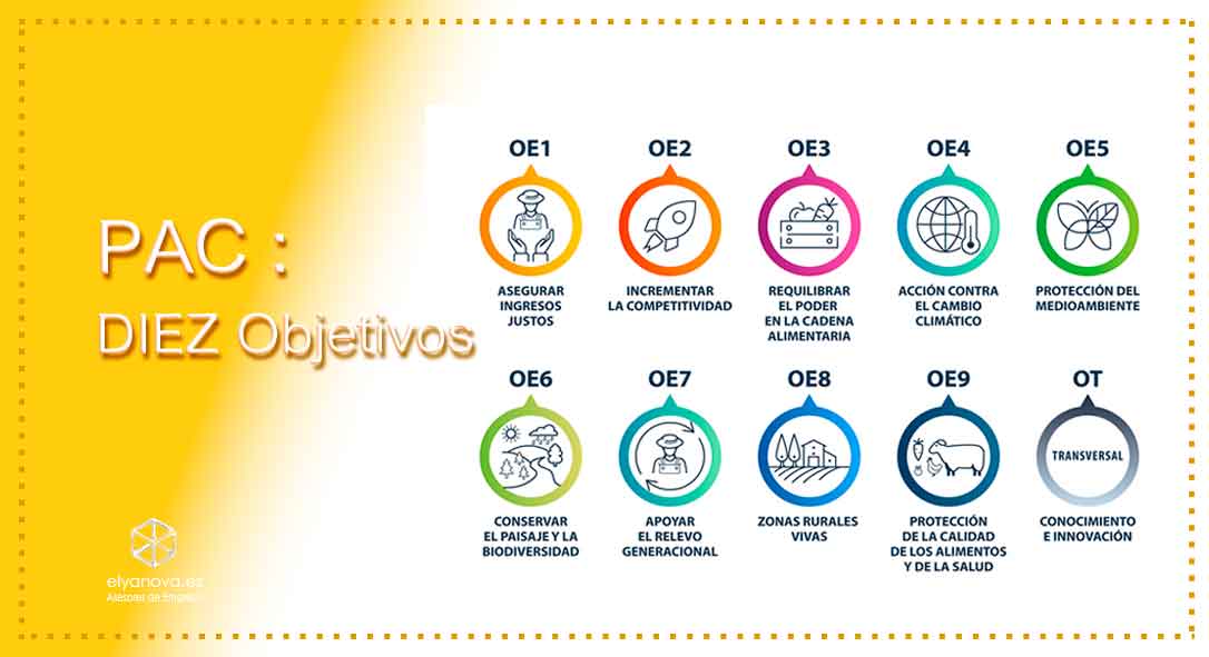 ayudas-pac-comunitarias-10-objetivos