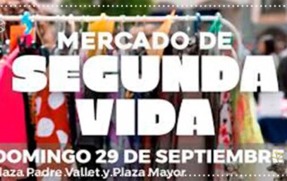 Mercado-segunda-vida-Pozuelo-2024-3ac