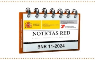 noticias-red-11-2024